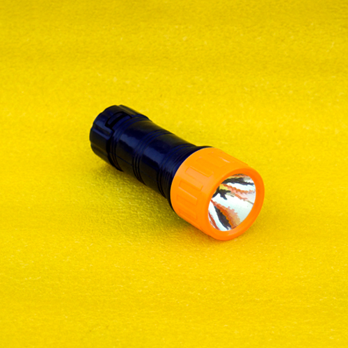 Torch Light with Batteries